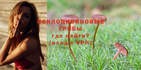 круглые Аркадак