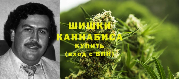 круглые Аркадак