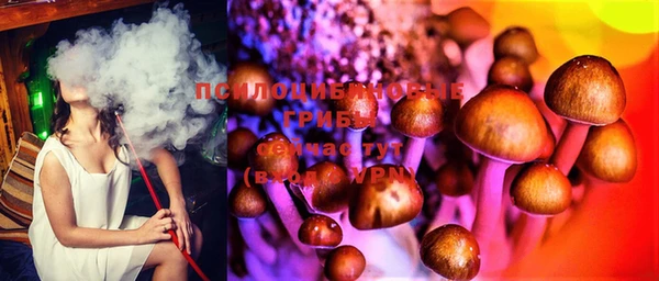 круглые Аркадак