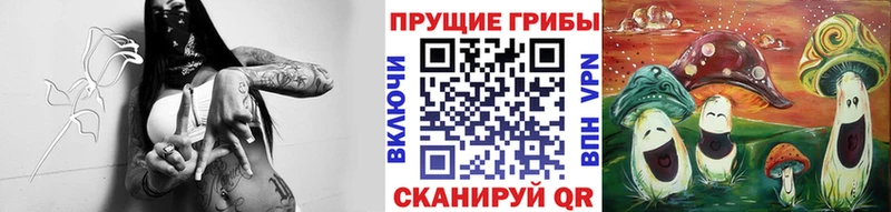 Галлюциногенные грибы Psilocybe Балашов